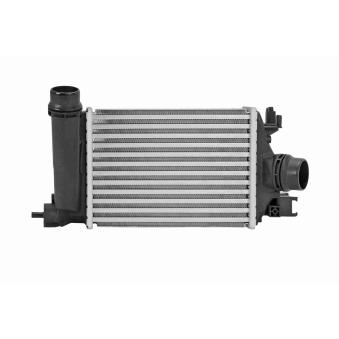 Intercooler, échangeur VEMO [V46-60-0090]