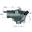 BEHR TH 11 87 - Thermostat d'eau