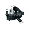 BEHR TH 7 92 - Thermostat d'eau