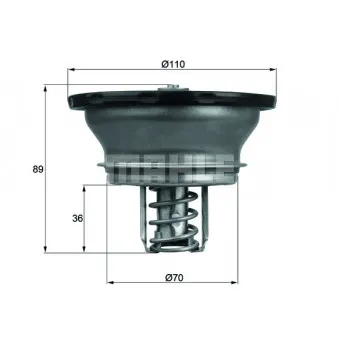 Thermostat d'eau BEHR THD 3 82 pour VOLVO FMX II 540 - 540cv