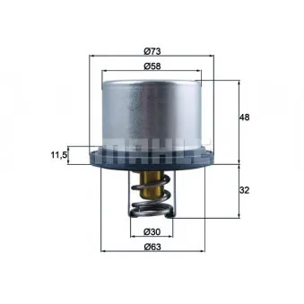 Thermostat d'eau BEHR OEM 1661993