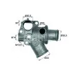 BEHR TI 114 80D - Thermostat d'eau