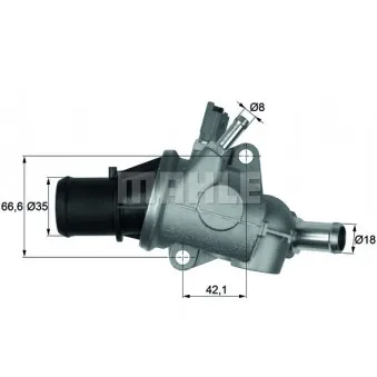 Thermostat d'eau BEHR OEM 60663618