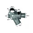 BEHR TI 94 80D - Thermostat d'eau