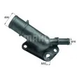 BEHR TI 98 87D - Thermostat d'eau