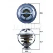 BEHR TX 123 95D - Thermostat d'eau