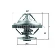 BEHR TX 158 83 - Thermostat d'eau