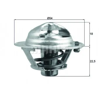 Thermostat d'eau BEHR OEM 255002A050