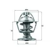 BEHR TX 173 88D - Thermostat d'eau