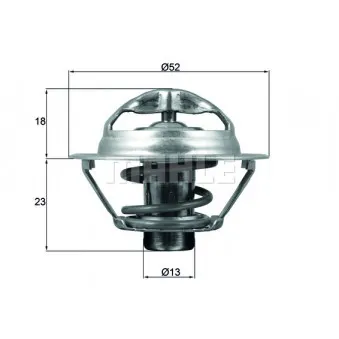 Thermostat d'eau BEHR TX 175 95D