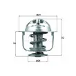 BEHR TX 176 82D - Thermostat d'eau
