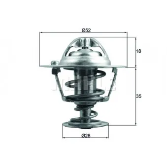 Thermostat d'eau BEHR OEM 19301RMX307