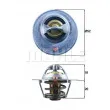 BEHR TX 185 82D - Thermostat d'eau