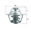 BEHR TX 196 75D - Thermostat d'eau