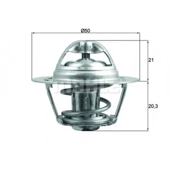 Thermostat d'eau BEHR OEM 8200772994