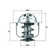 BEHR TX 198 88D - Thermostat d'eau