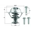 BEHR TX 202 90D - Thermostat d'eau