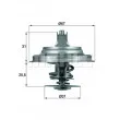 BEHR TX 25 87D - Thermostat d'eau