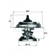 BEHR TX 29 85D - Thermostat d'eau