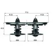 BEHR TX 32/1D - Thermostat d'eau