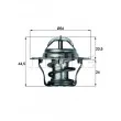 BEHR TX 4 83D - Thermostat d'eau