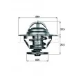 Thermostat d'eau BEHR [TX 9 79]