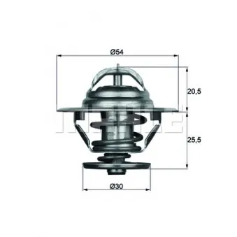 Thermostat d'eau BEHR TX 9 79 pour DAF F 2800 FAG 2800 DKV,FAR 2804 DKXE,FAS 2803 DKXE,DKSE,DKV - 288cv