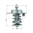BEHR TX 95 83D - Thermostat d'eau