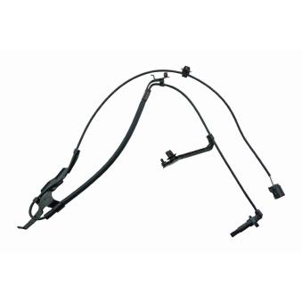 Capteur, vitesse de roue avant droit VEMO V70-72-0411