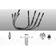 EFI AUTOMOTIVE 7423 - Kit de câbles d'allumage