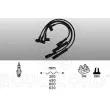 EFI AUTOMOTIVE 8112 - Kit de câbles d'allumage