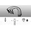 EFI AUTOMOTIVE 8120 - Kit de câbles d'allumage