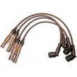EFI AUTOMOTIVE 9899 - Kit de câbles d'allumage