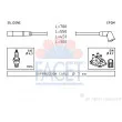 FACET 4.9789 - Kit de câbles d'allumage