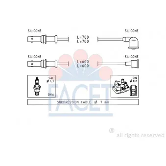 Kit de câbles d'allumage FACET OEM 22451AA630