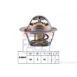 FACET 7.8691S - Thermostat d'eau