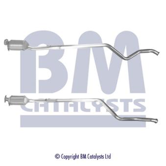 Filtre à particules / à suie, échappement BM CATALYSTS OEM 200100056RSP12
