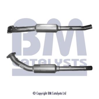 Catalyseur BM CATALYSTS OEM WAG000190