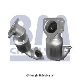 Catalyseur BM CATALYSTS OEM DSS244