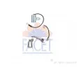 FACET BT.0231 - Kit de réparation, distributeur d'allumage