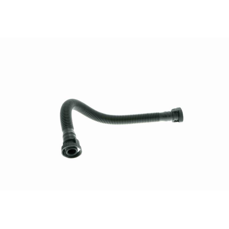 Tuyau, ventilation de carter-moteur VAICO V10-0737 - Visuel 1