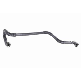 Tuyau, ventilation de carter-moteur VAICO OEM 078133817M