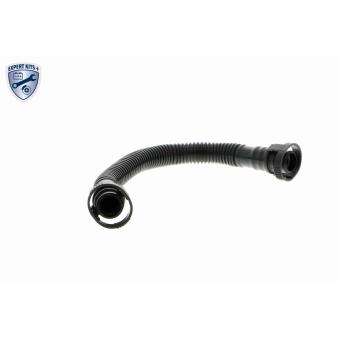 Tuyau, ventilation de carter-moteur VAICO OEM 06F103221E