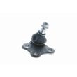 VAICO V10-0779 - Rotule de suspension avant droit