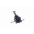 VAICO V10-0779 - Rotule de suspension avant droit