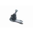 VAICO V10-0779 - Rotule de suspension avant droit