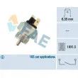 FAE 40310 - Contacteur, feu de recul