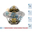 FAE 5204787 - Thermostat d'eau