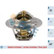 Thermostat d'eau FAE [5205389]