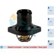 FAE 5205589 - Thermostat d'eau
